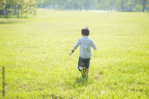 Little boy walking on the field. Child in the park in summer.