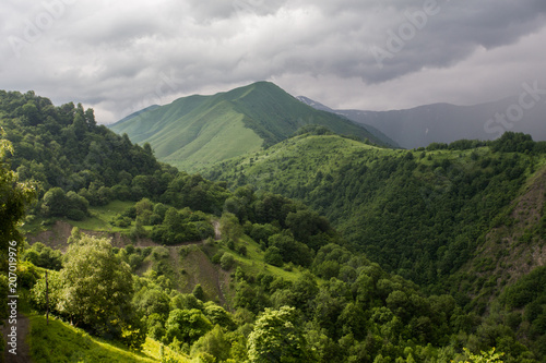 Georgian nature