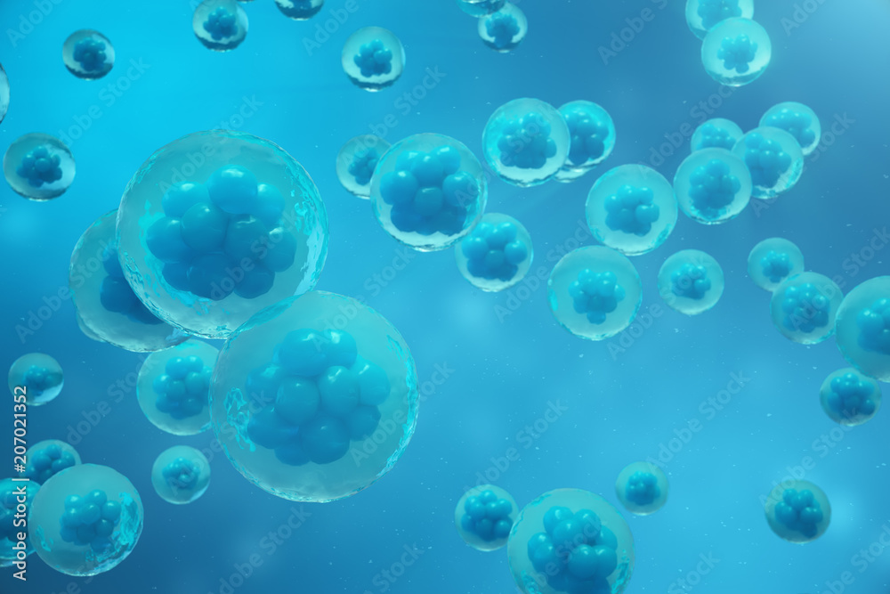 3D Rendering human or animal cells on blue background. Concept Early stage embryo Medicine scientific concept, Stem cell research and treatment. 3D Rendering human or animal cells on blue background. Concept Early stage embryo Medicine scientific concept, Stem cell research and treatment.
