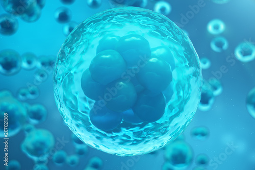 3D Rendering human or animal cells on blue background. Concept Early stage embryo Medicine scientific concept, Stem cell research and treatment.