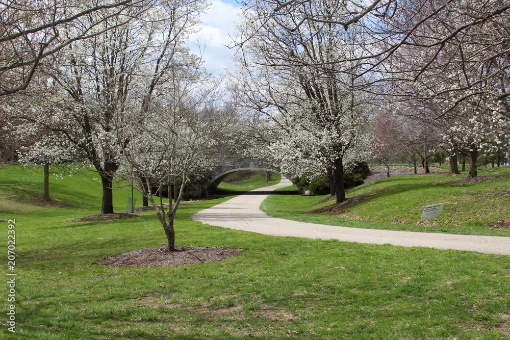 The winding path under the stone bridge in the park. The winding path under the stone bridge in the park.