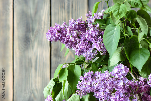 Lilac flowers at an old wooden fence