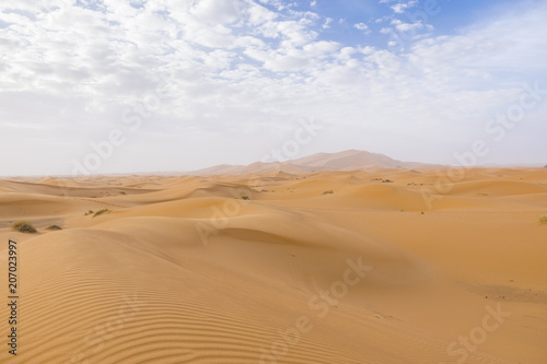 Merzouga desert