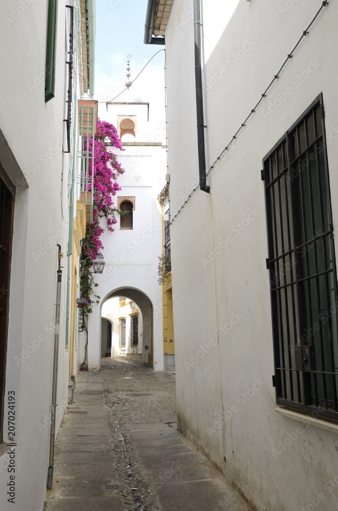White street in Cordoba Jewish quarter, Spain