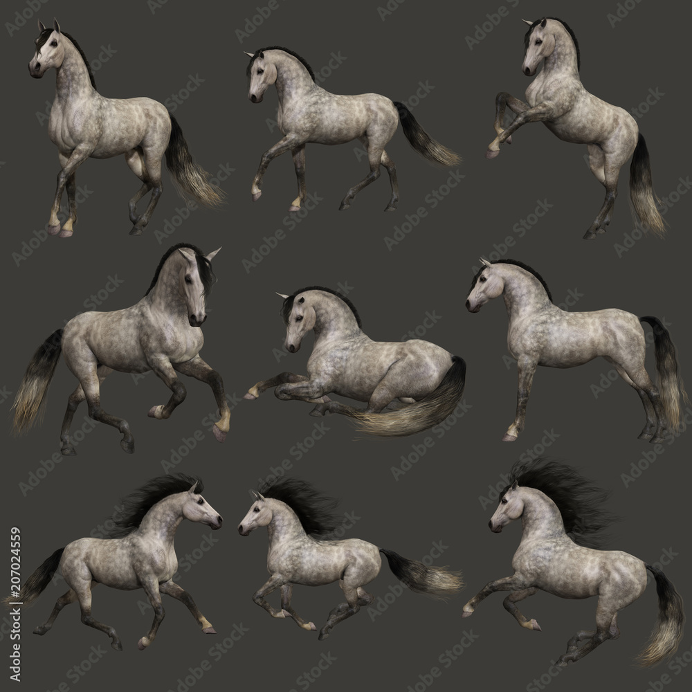 Dapple Grey Horse, 3d CG