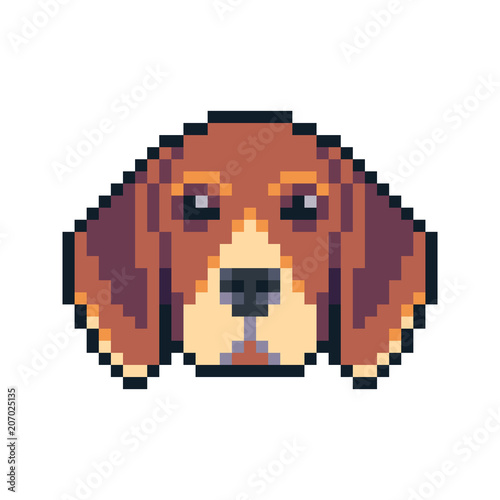 Pixel art beagle dog face vector icon.
