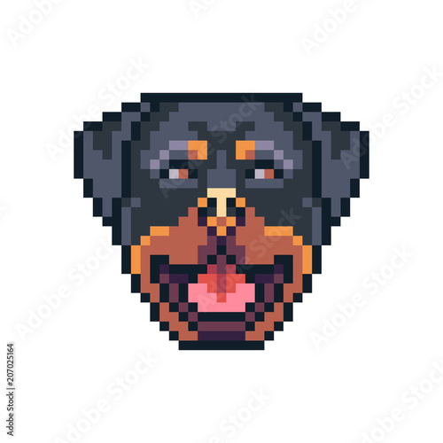 Pixel art rottweiler dog face vector icon.