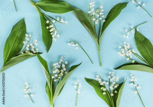 Lily of the Valley Flowers  on a Blue Background.Spring Flowers Background