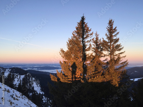 Scenic sunset in the mountains behind a brown conifer tree revealing the shadow of the photographer on a cold winter day in the Alps, Germany