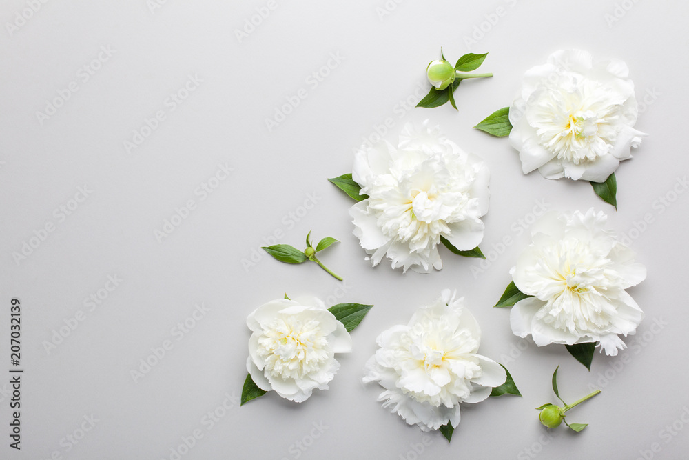 Fototapeta premium Flowers composition. Pattern made of white peony flowers on grey background. Flat lay, top view.