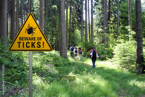 Beware of ticks in infested area with walkers photo