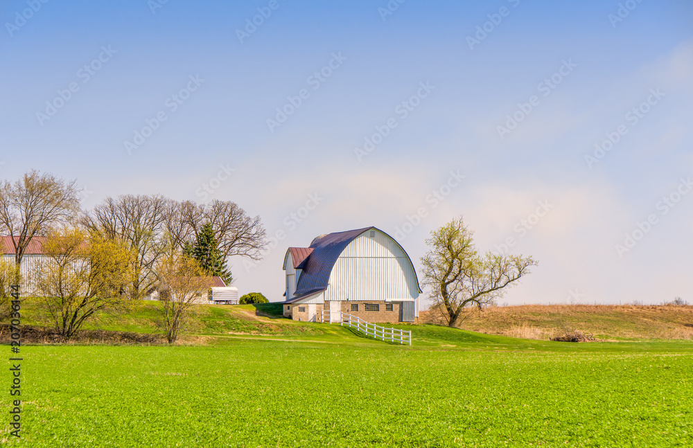 White Barn and Green Field in Spring