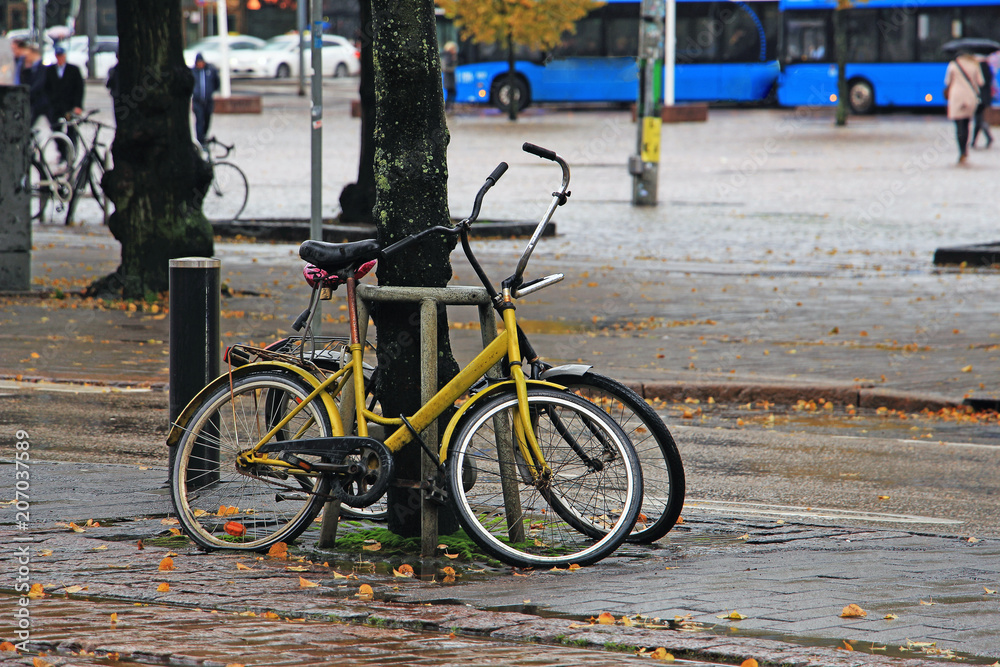 two bicycles parked by the tree on a rainy autumn afternoon