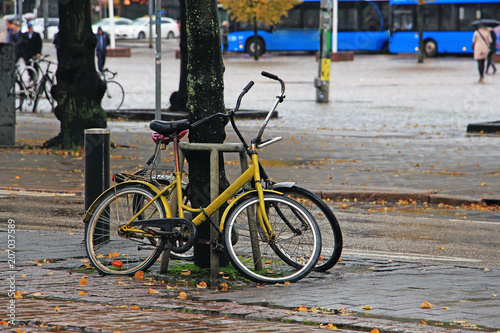 two bicycles parked by the tree on a rainy autumn afternoon