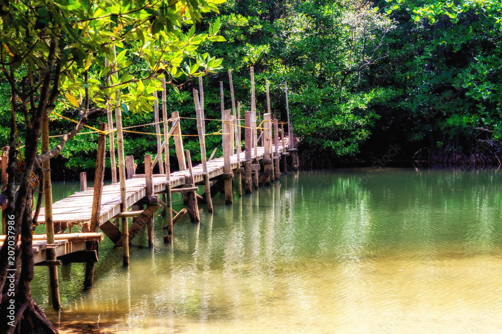 Wooden bridge in the jungle - Palawan Island, Philippines