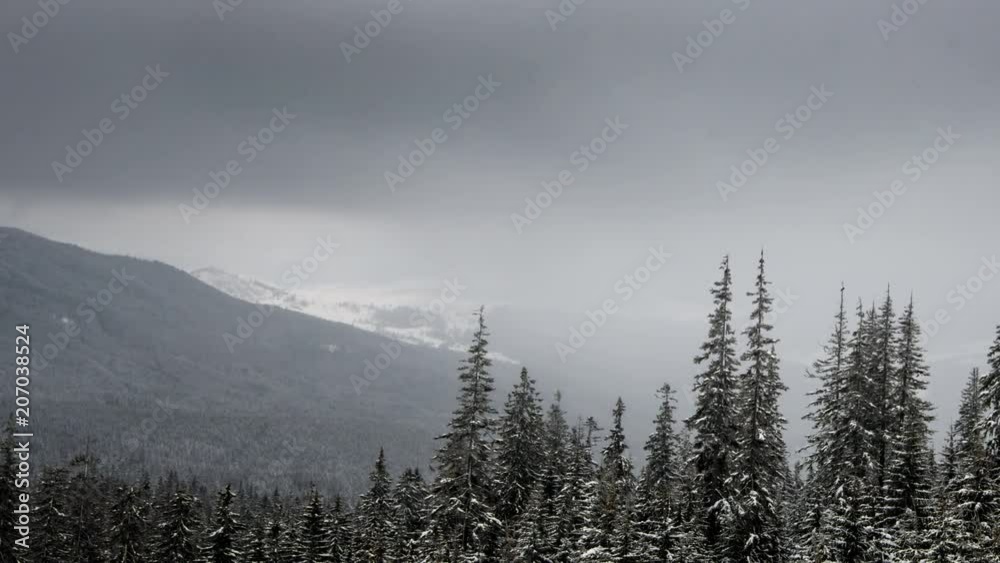 A strong winter snowstorm A strong winter snowstorm