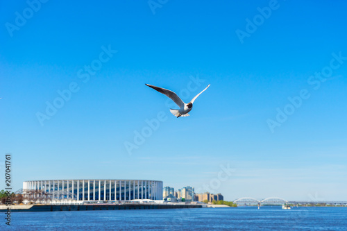 Seagull bird flies over the water against the blue sky and the stadium in Nizhny Novgorod in Russia photo