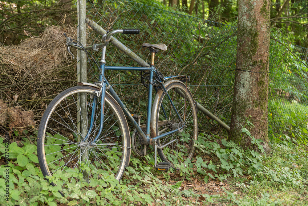 altes Fahrrad im Wald