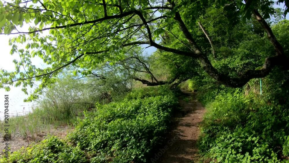 Naturerlebnis am See, Landschaftspanorama, bewegte Kamera, Slow Tourism, Bayern, 4K