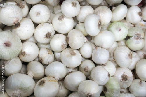 White onion background
