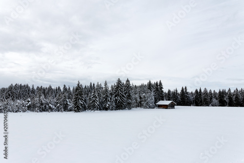 Winter in Bavaria..Winter in Bayern. © Bernhard