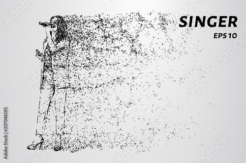 Particle singer. The singer consists of circles and dots.
