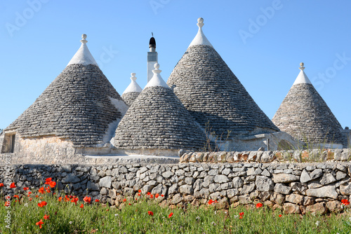 Cone shaped trulli houses with poppies in Puglia photo
