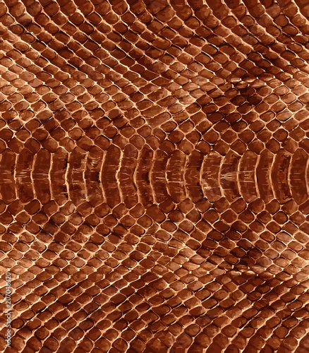Snake skin pattern texture repeating seamless. Vector. Texture snake. Fashionable print. python snake