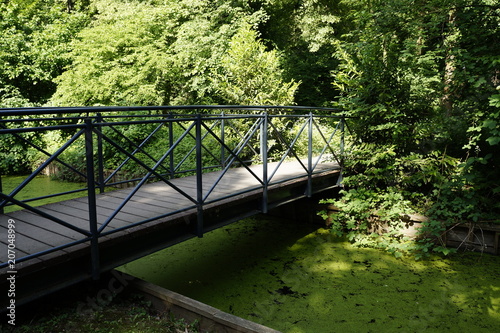 Spaziergang im Park über romantische Parkbrücke, Teichlinsen färben Wasser grün