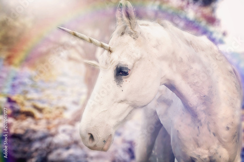 Real unicorn