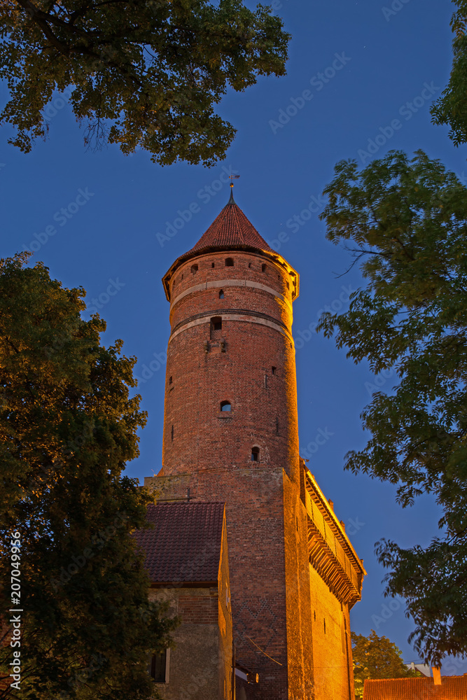 Allenstein, Burg