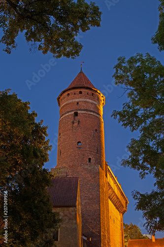 Allenstein, Burg