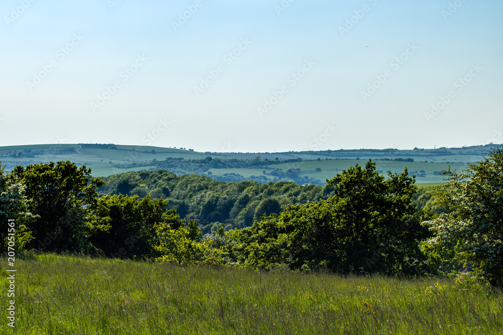 Sussex Landscape