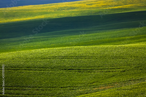 green summer landscape in tuscany, Italy © Melinda Nagy