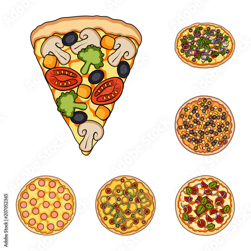 Different pizza cartoon icons in set collection for design.Pizza food vector symbol stock web illustration.