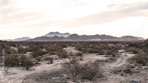 Foto Beautiful panoramic desert setting in Baja, Mexico.