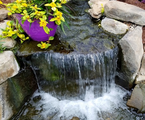 Foto Cascading Pond Waterfall with Yellow Flora and Decorative Stones; Landscape Desi