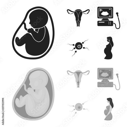 Uterus, apparatus of ultrasound, fertilization. Pregnancy set collection icons in black,monochrom style vector symbol stock illustration web. photo