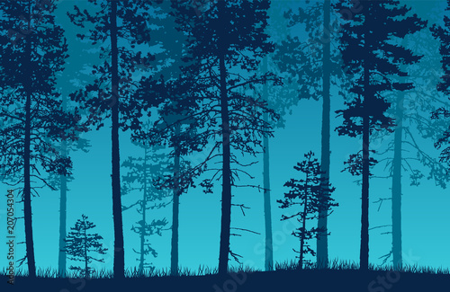 Seamless blue vector forest landscape with coniferous trees and grassy land.