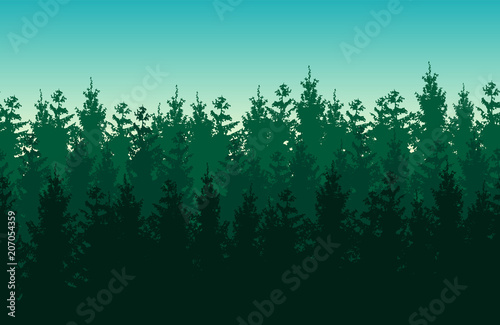 Seamless green vector forest landscape with coniferous trees.
