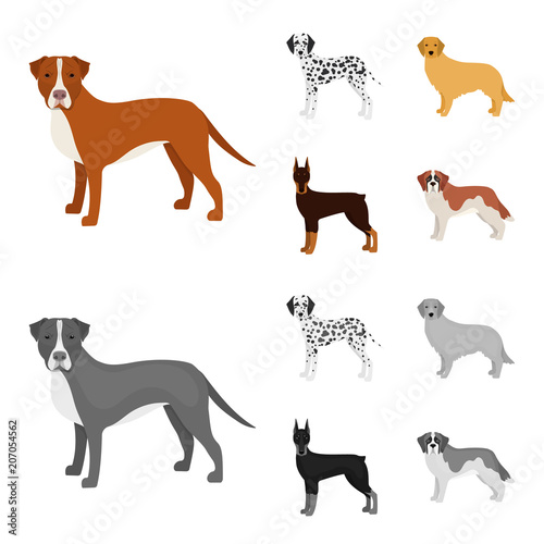 Dog breeds cartoon,monochrome icons in set collection for design.Dog pet vector symbol stock web illustration.