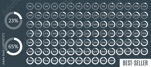 Set of circle percentage diagrams from 0 to 100 for infographics, dark, 5 10 15 20 25 30 35 40 45 50 55 60 65 70 75 80 85 90 95 percent. Vector illustration.