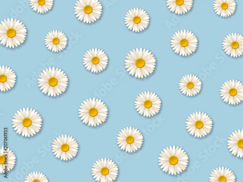 White daisy flowers. Pattern with chamomile flowers on blue background. Vector illustration  © just_hope