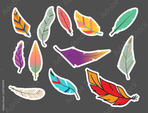 Tribal flat feather different style bird vintage colorful ethnic hand drawn e...