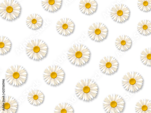 Fototapeta Naklejka Na Ścianę i Meble -  White daisy flowers. Pattern with chamomile flowers on white background. Vector illustration 