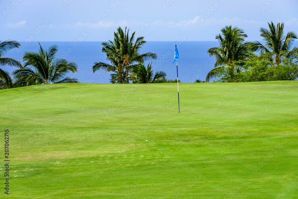 Tropical golf course putting green with a blue flag and pin, a couple golf balls, and palm trees, the sky and Pacific Ocean in the background
