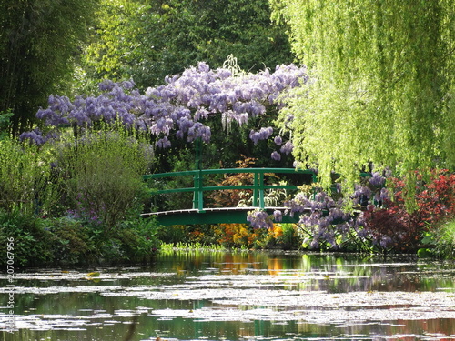 Obraz na plátne Monet gardens