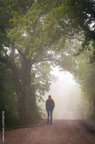 woman walking on misty forest road