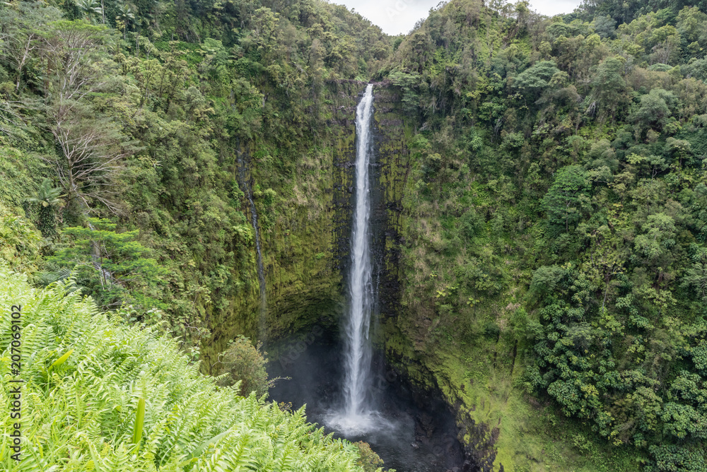 Spectacular Akaka Falls on the Big Island of Hawaii Spectacular Akaka Falls on the Big Island of Hawaii
