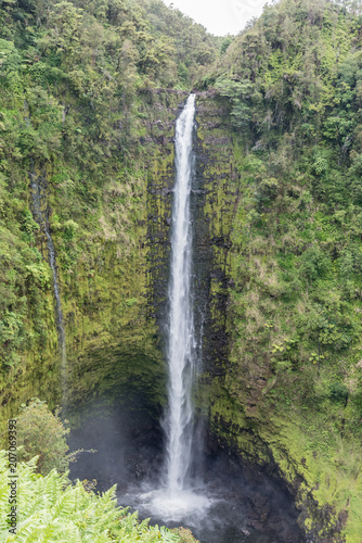 Spectacular Akaka Falls on the Big Island of Hawaii